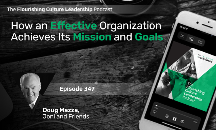 347: How An Effective Organization Achieves Its Mission And Goals